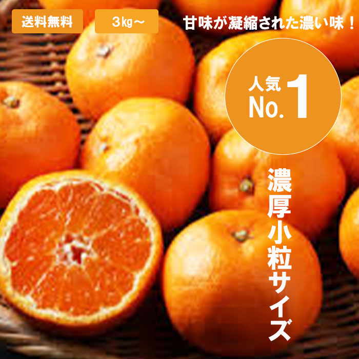 EC用サムネイル（みかん／700×700）